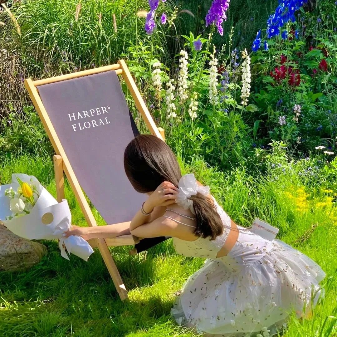 拍卖会上我惊艳全场